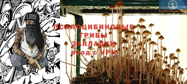 дмт Бронницы