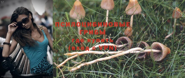 дмт Бронницы
