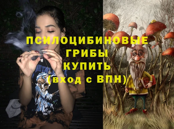 дурь Бородино