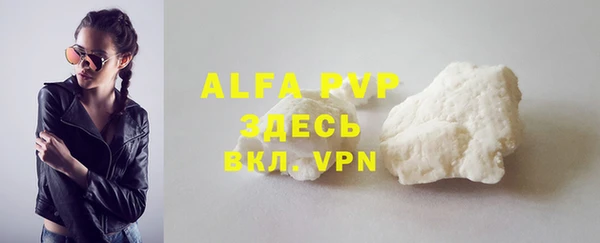 дурь Бородино