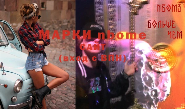 дурь Бородино