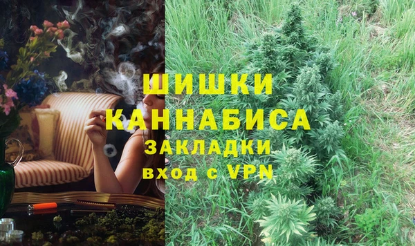 дмт Бронницы