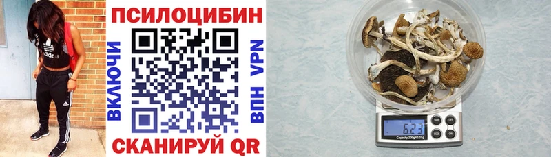 Псилоцибиновые грибы Psilocybe  Туапсе 